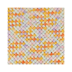 Alize Puffy color 6520